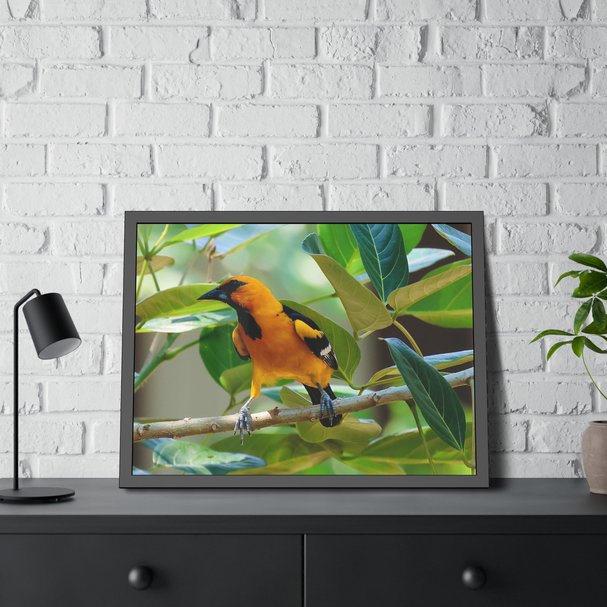 Framed Paper Posters