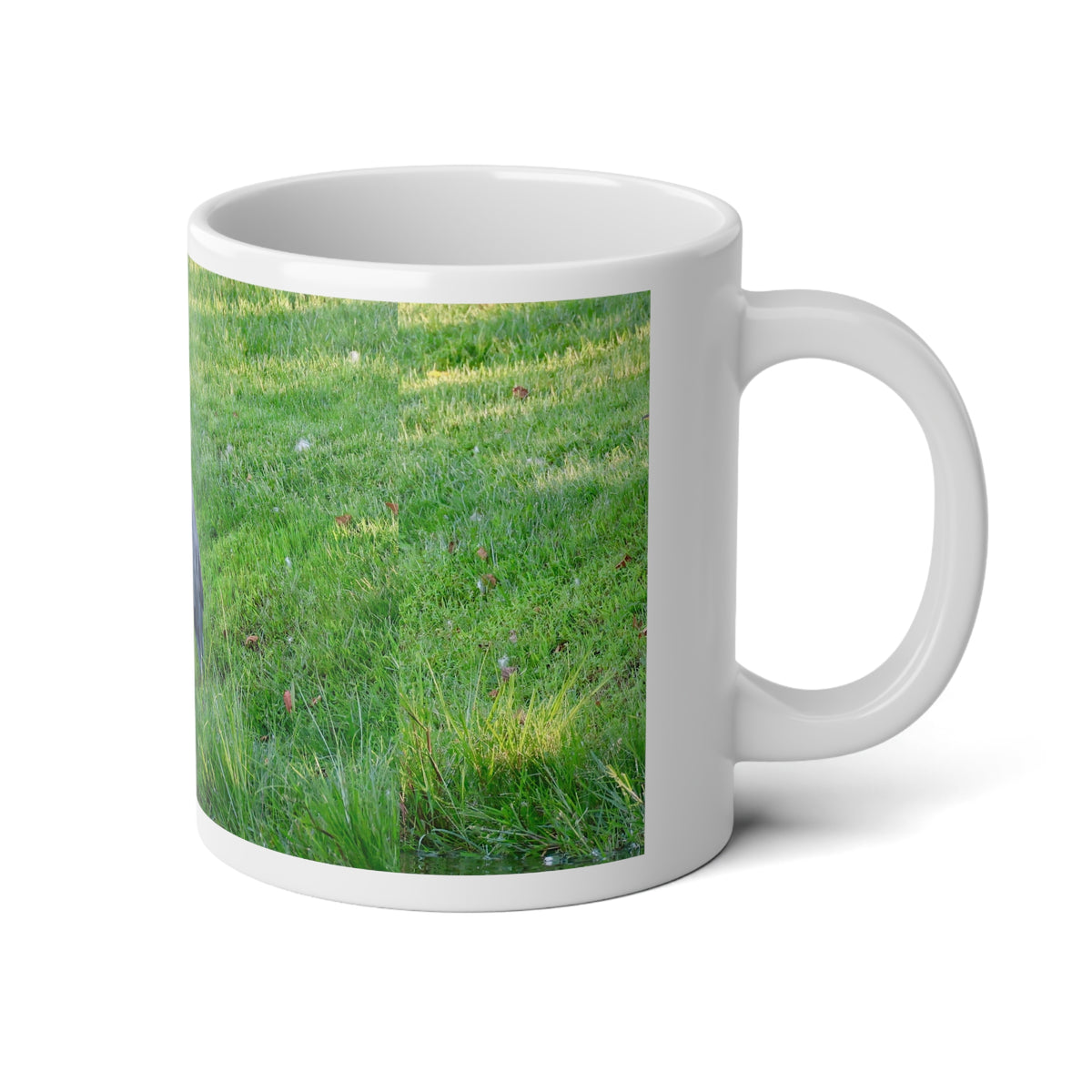Great Blue Heron - Poli Roam Jumbo Mug, 20oz