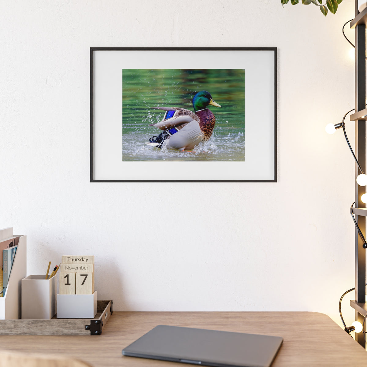 Mallard Duck Posters with Wooden Frame