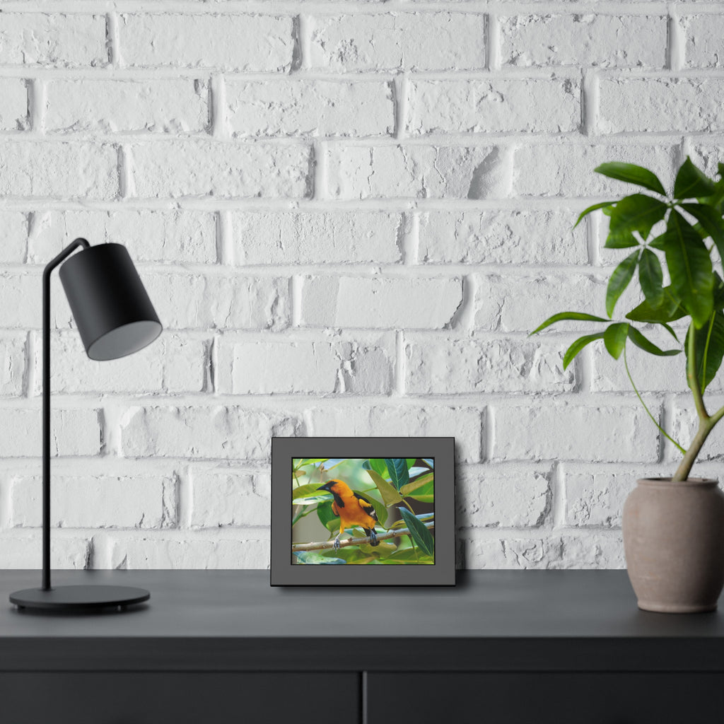Framed Paper Posters