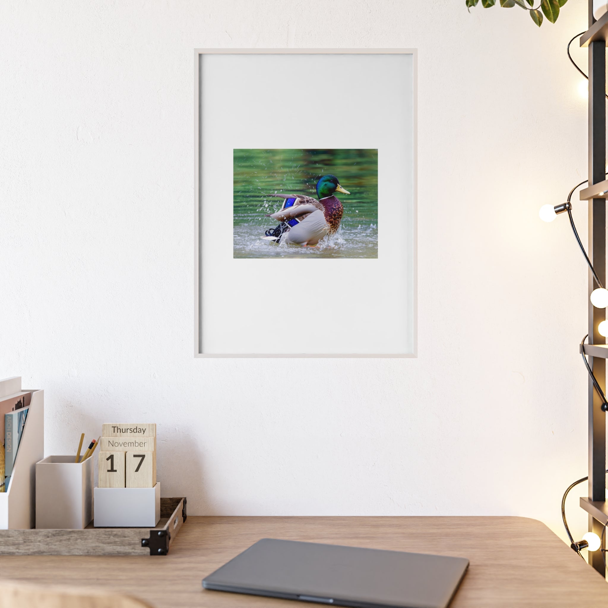 Mallard Duck Posters with Wooden Frame