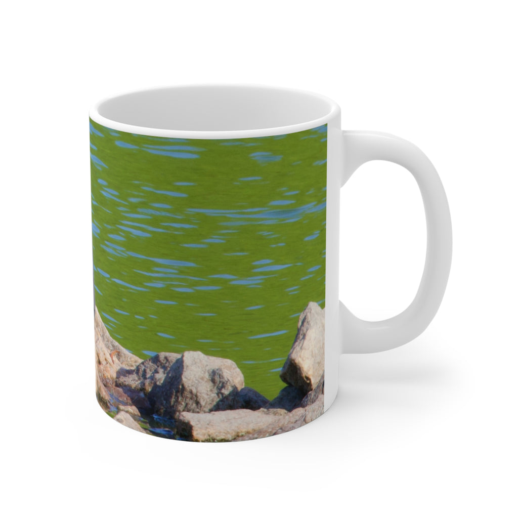 Green Heron on Rock Ceramic Mug 11oz – Pond Wildlife Coffee Cup