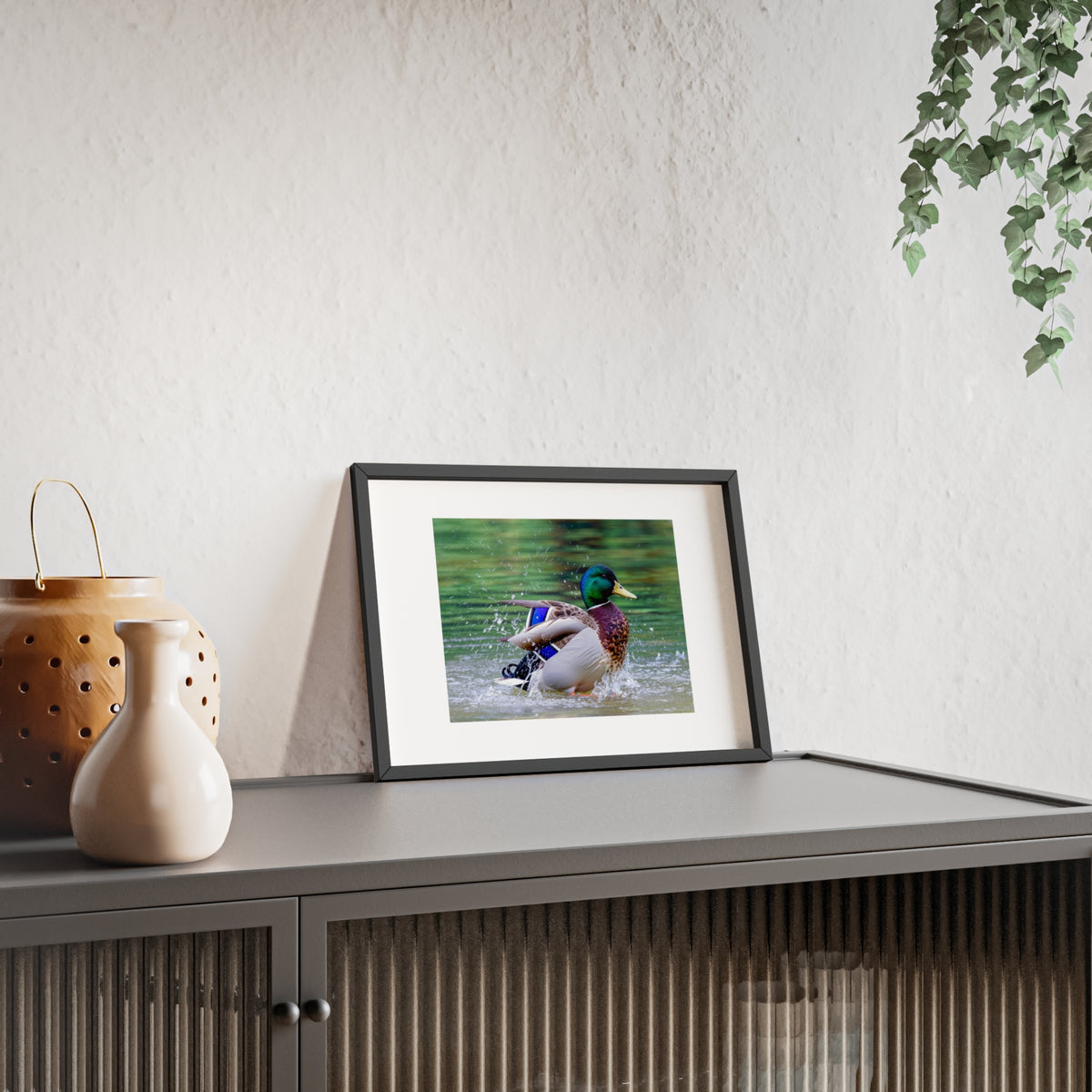 Mallard Duck Posters with Wooden Frame