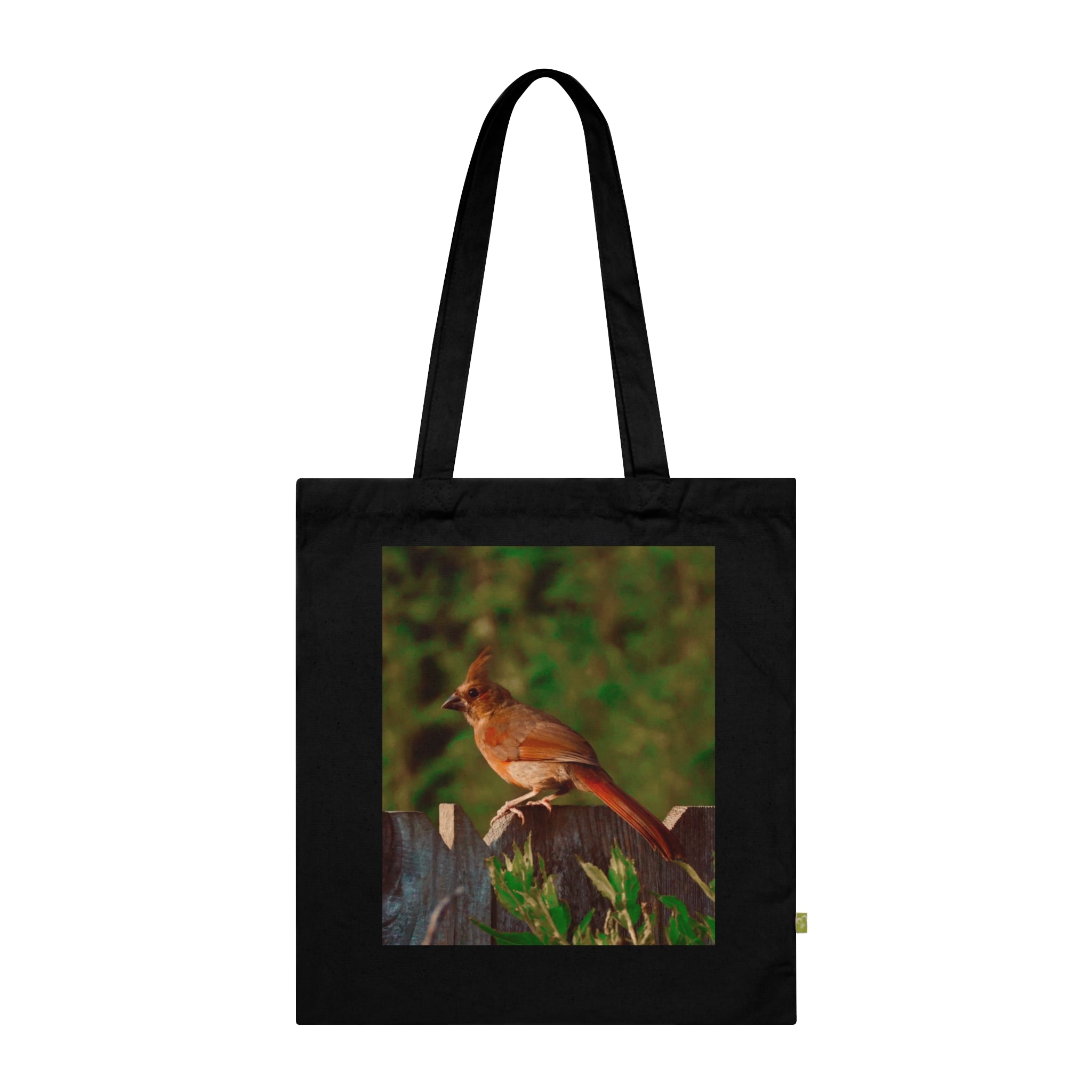 Organic Cotton Tote Bag