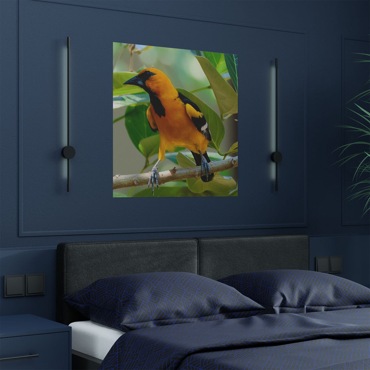 Orioles Bird Satin Posters (300gsm)