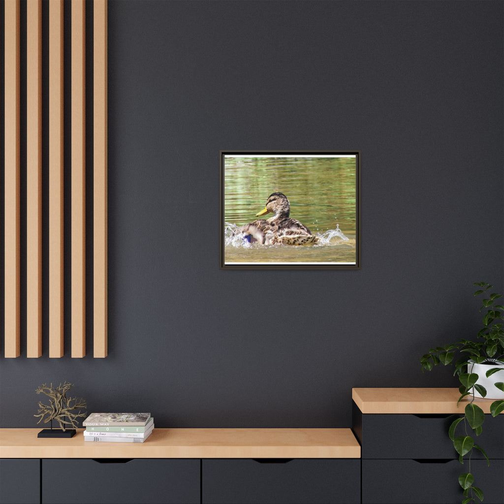 Mallard Duck Matte Canvas, Framed (Multi-color)
