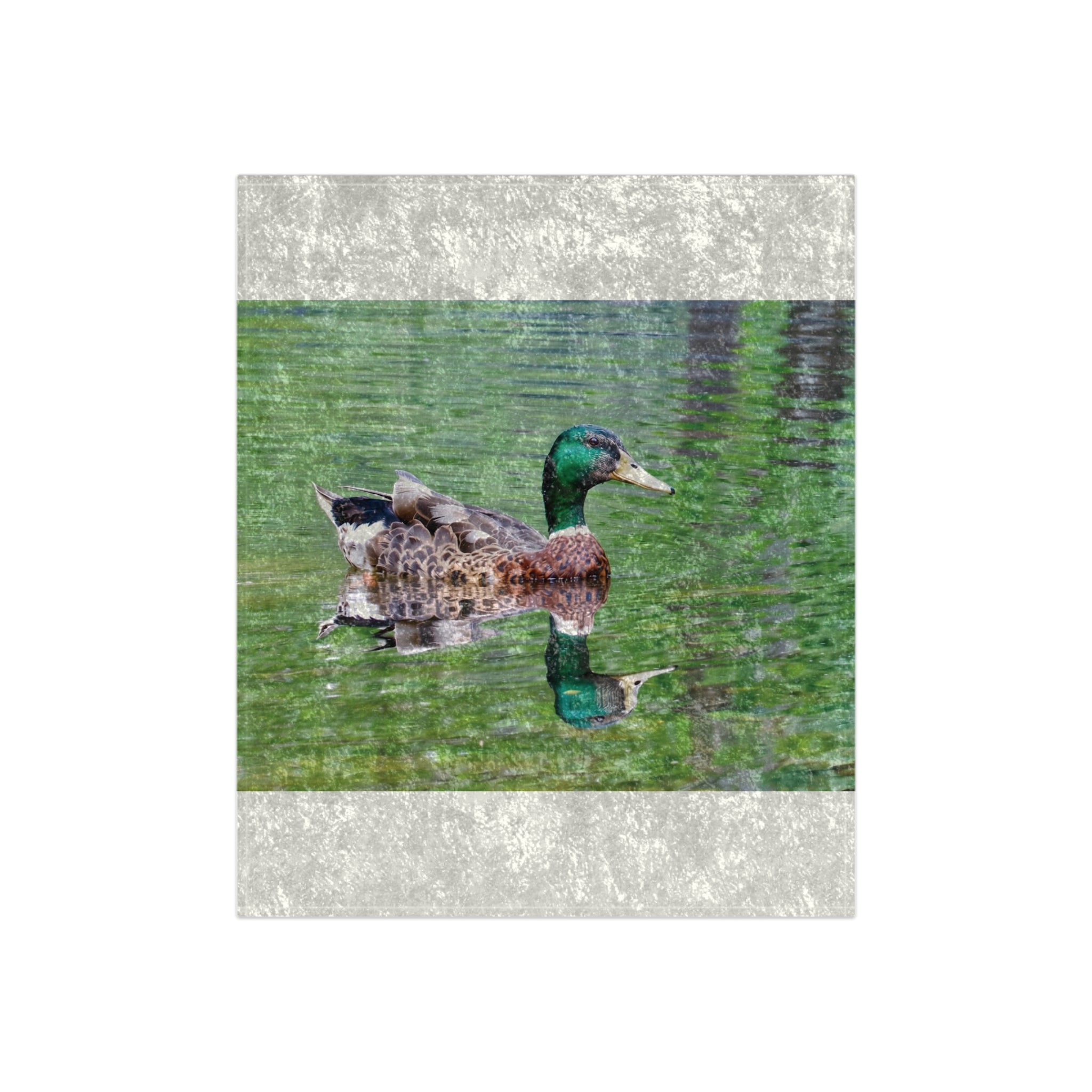 Mallard Duck Swimming in the River Crushed Velvet Blanket – Wildlife Nature Luxury Throw
