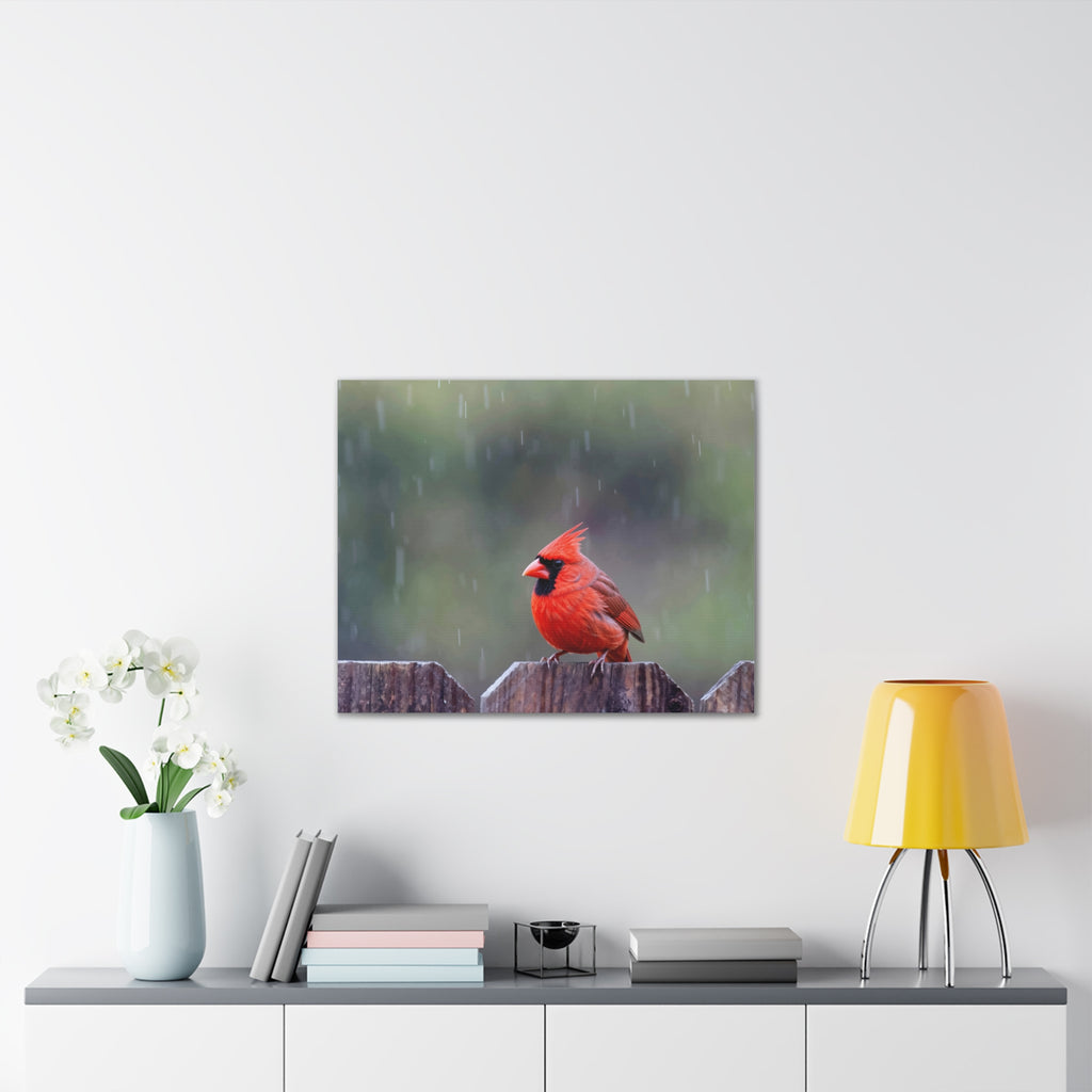 Northern Cardinal Canvas Stretched, 0.75"