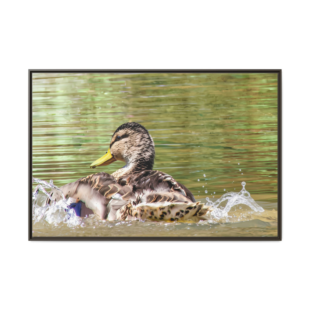 Mallard Duck Matte Canvas, Framed (Multi-color)