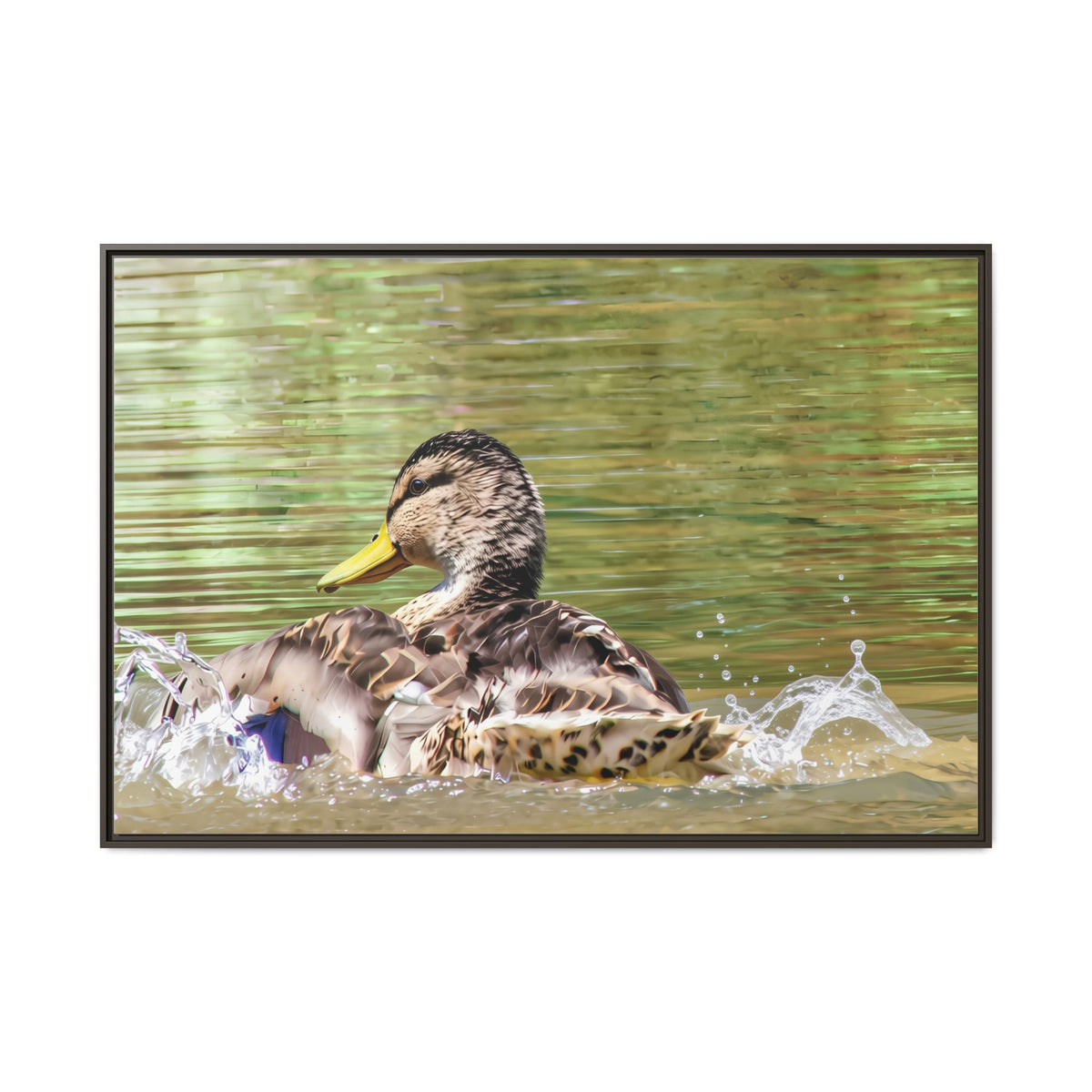 Mallard Duck Matte Canvas, Framed (Multi-color)