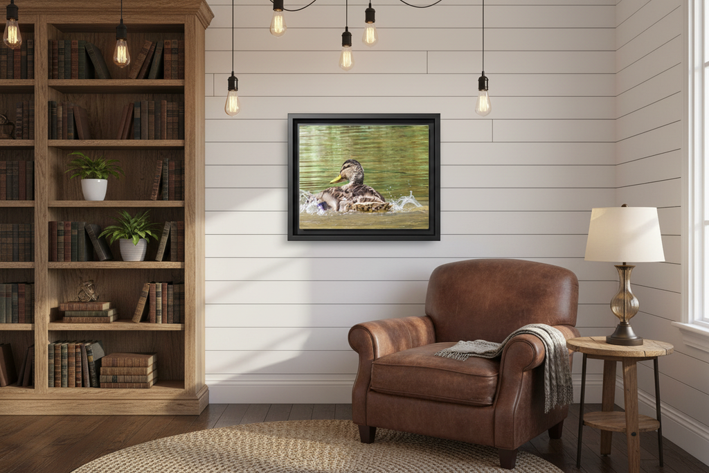 Mallard Duck Matte Canvas, Framed (Multi-color)