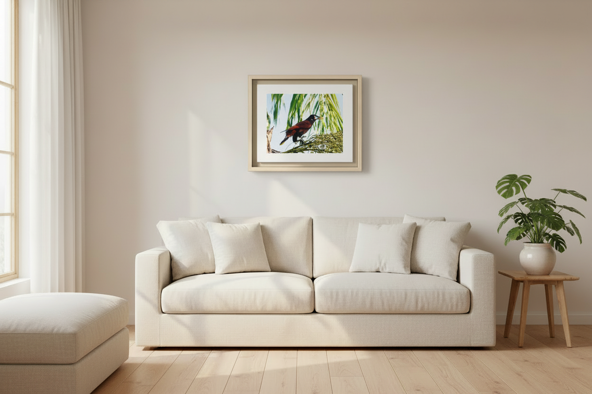 Montezuma Oropendola Matte Canvas, Framed (Multi-color)